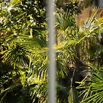 Eselboeck Valter - Historic Seaside House In Bed & Breakfast 5*
